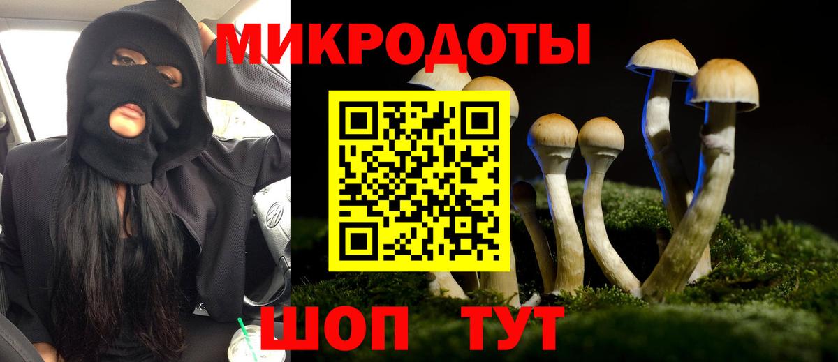 Псилоцибиновые грибы MAGIC MUSHROOMS  Вход с VPN  Трёхгорный 